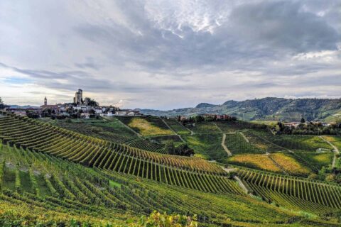 Panorama di vigne e della cittadina di Serralunga d'Alba luogo d'origine dei vini in degstustazione all'osteria favorita