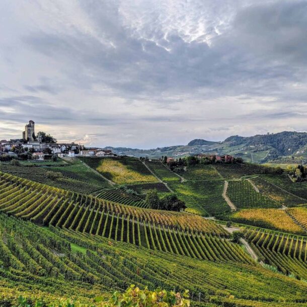 Panorama di vigne e della cittadina di Serralunga d'Alba luogo d'origine dei vini in degstustazione all'osteria favorita