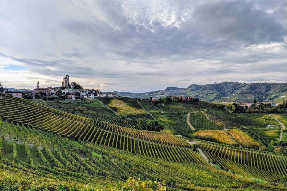 Panorama di vigne e della cittadina di Serralunga d'Alba luogo d'origine dei vini in degstustazione all'osteria favorita